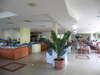 Dolphin Hotel 